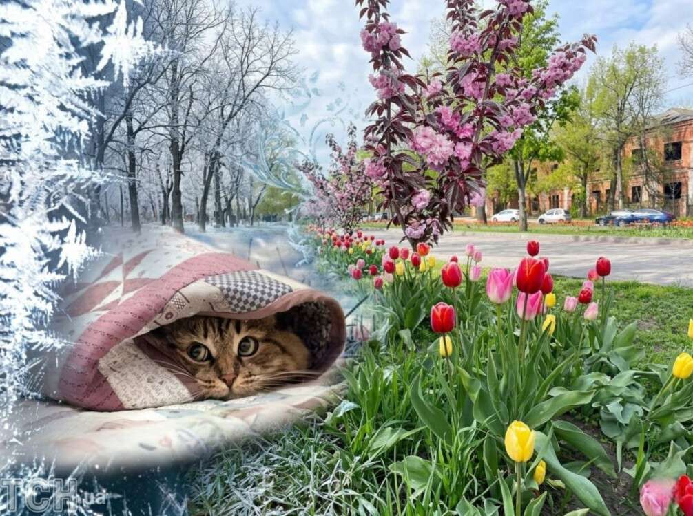 прогноз погоди весна заморозки