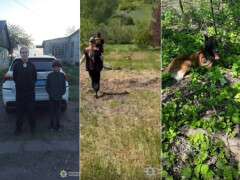 поліція розшук