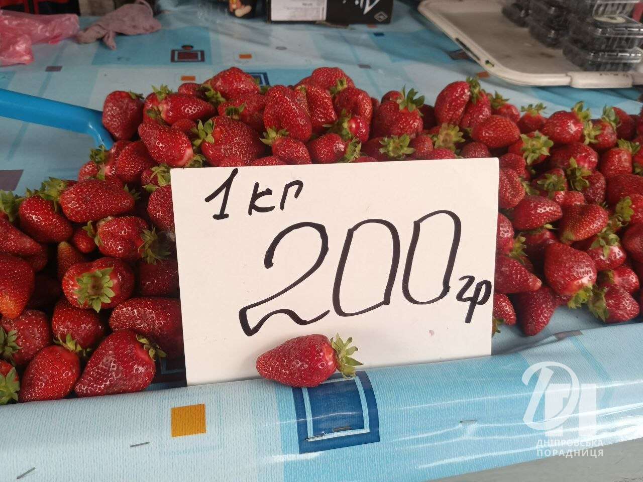 ціни на полуницю Дніпро