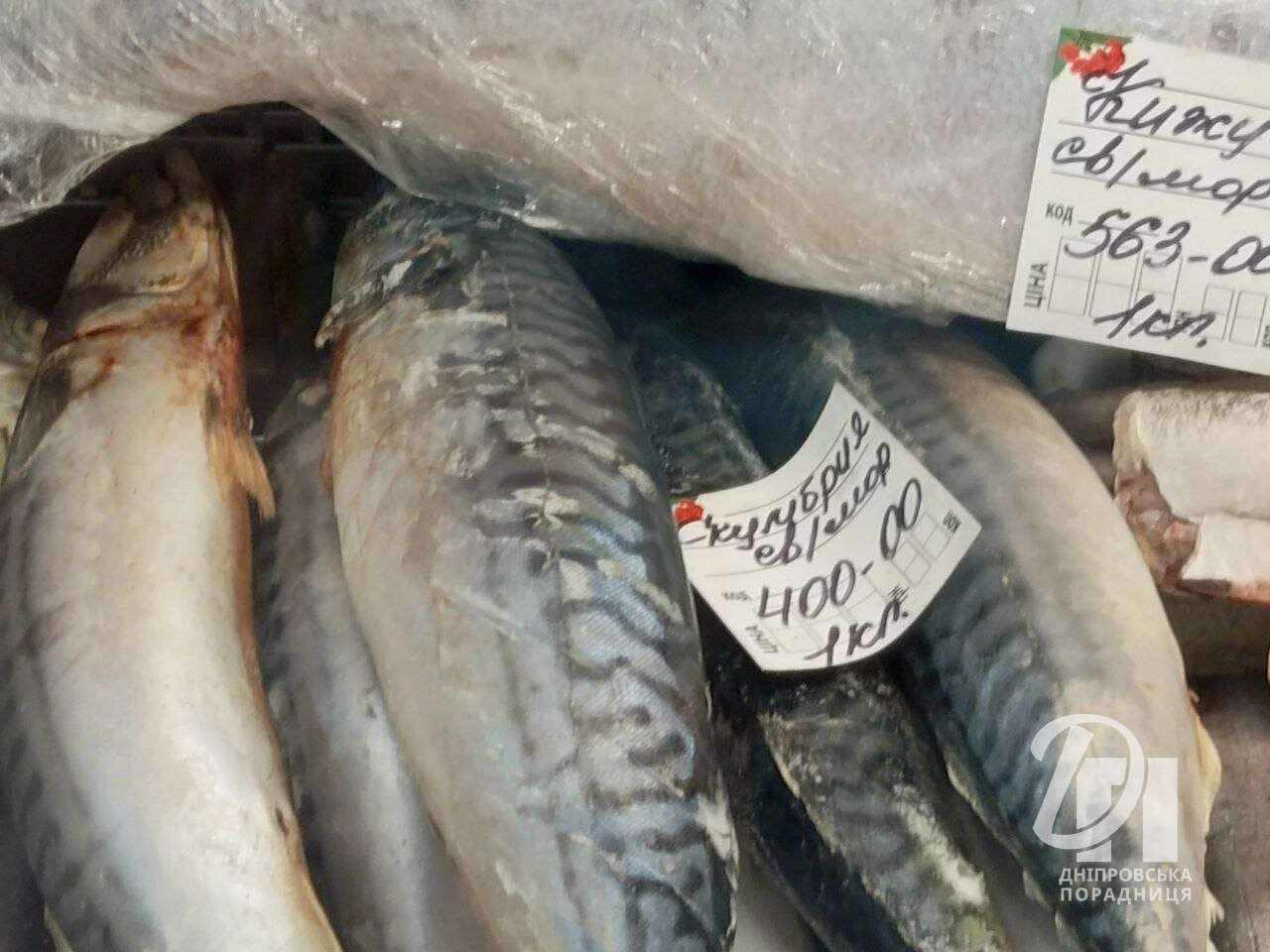 ціни на скумбрію