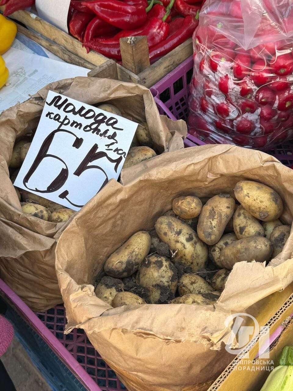 цены на молодую картошку Днепр