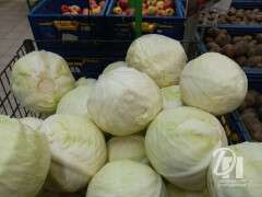 photo_2026-05-15_17-45-30
