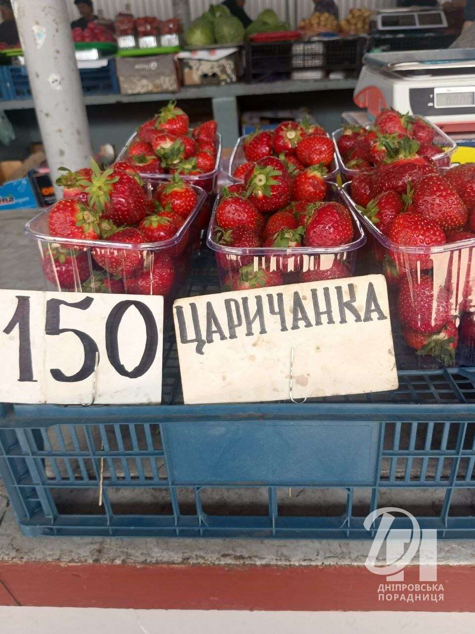 цены на Озерке в Днепре