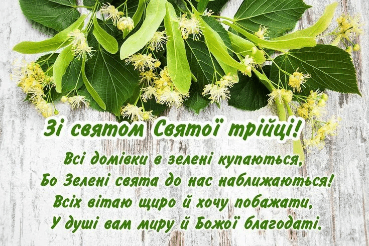 трі
