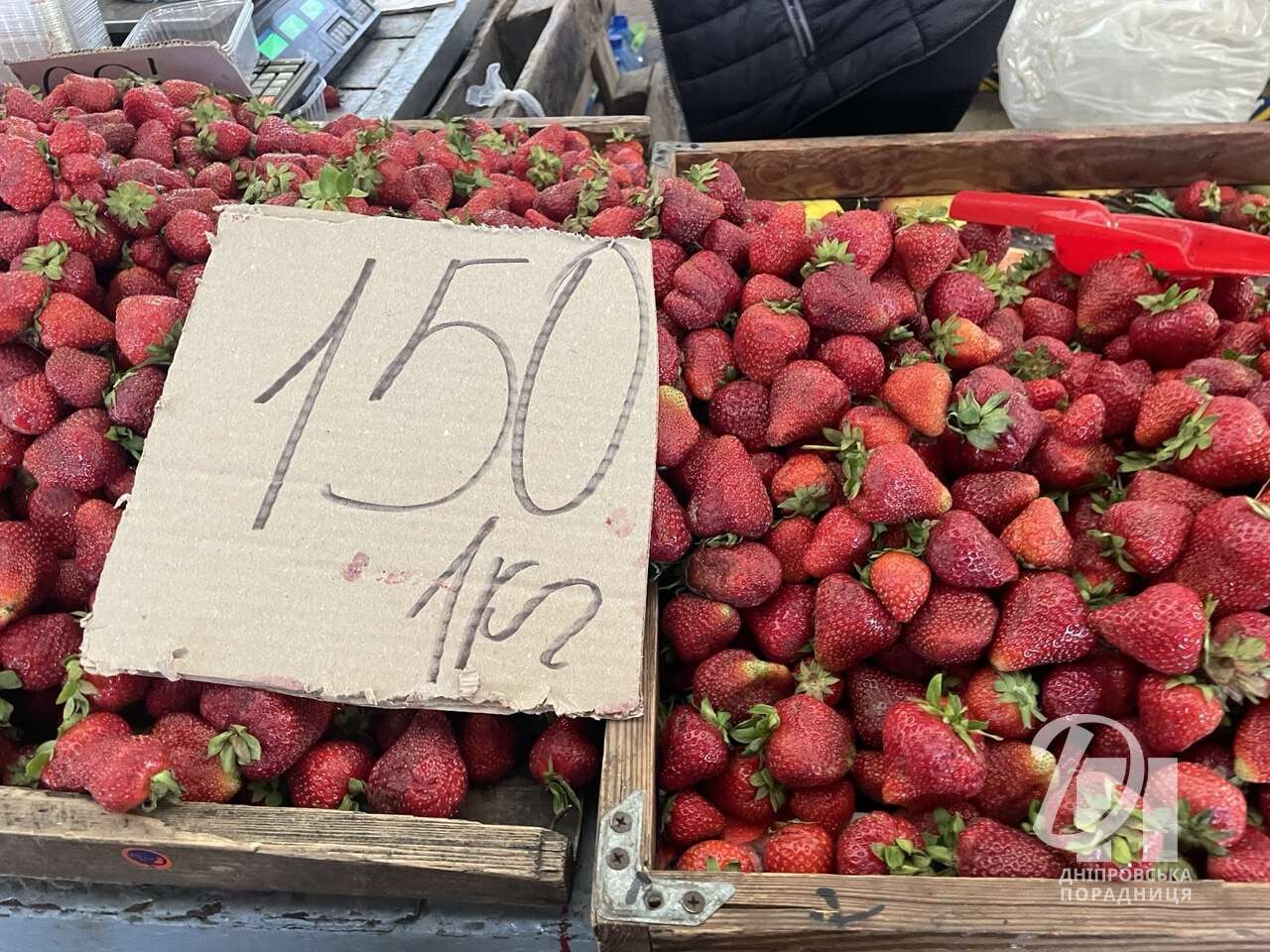 цены на клубнику Днепр