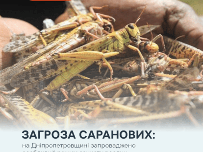 сарана