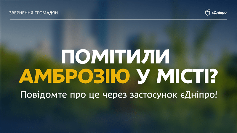 помітили амброзію