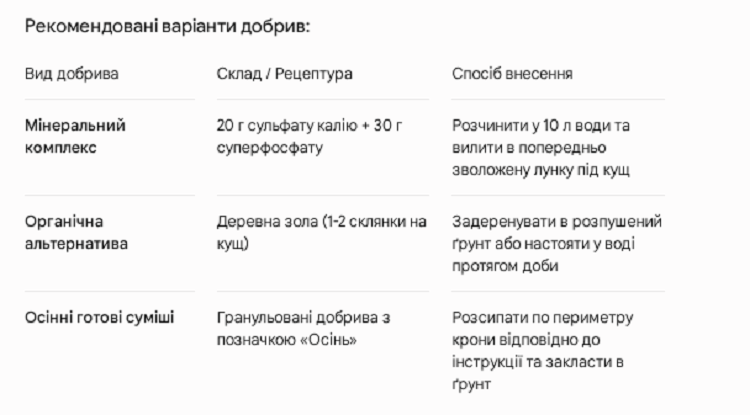 ип