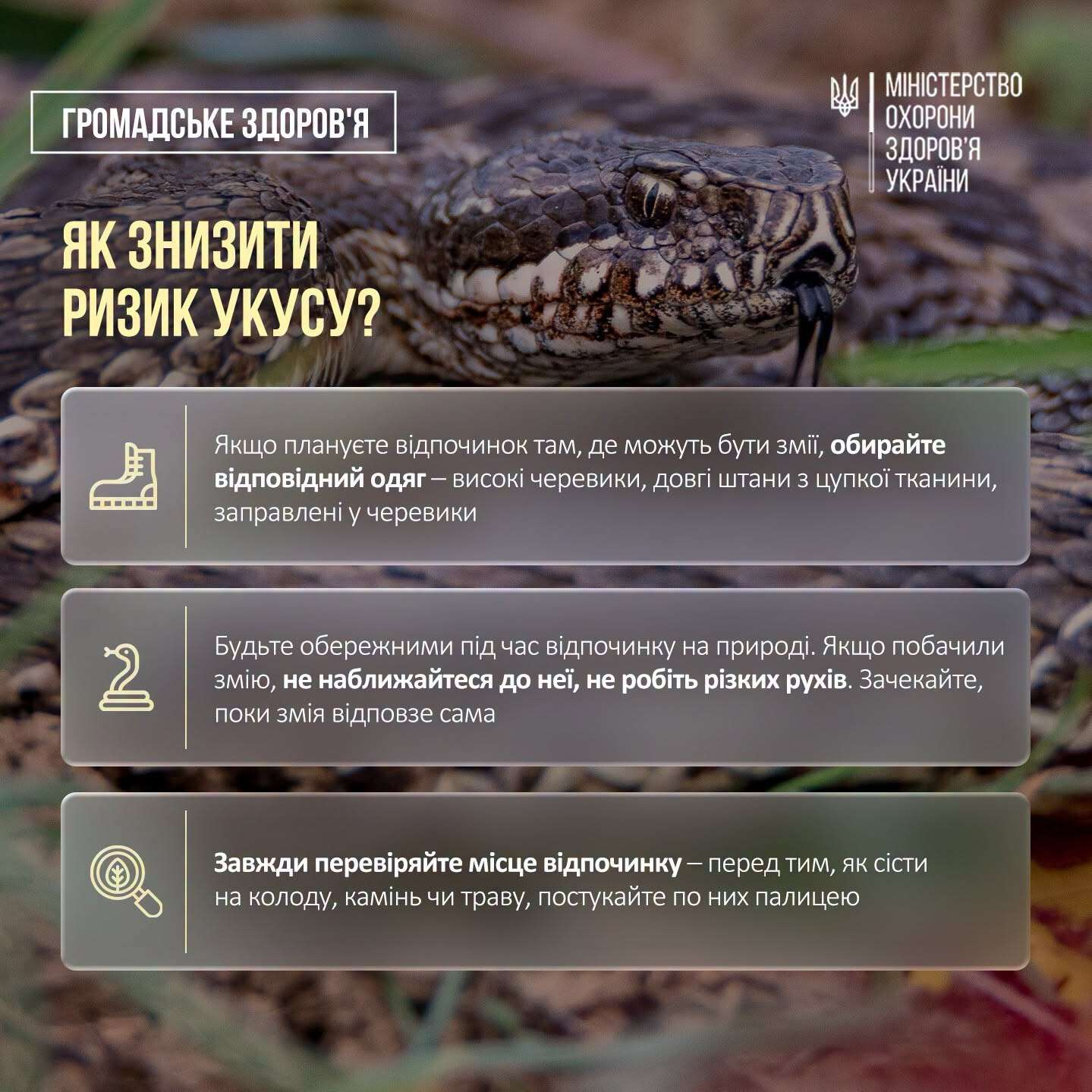 що робити, якщо вкусила змія