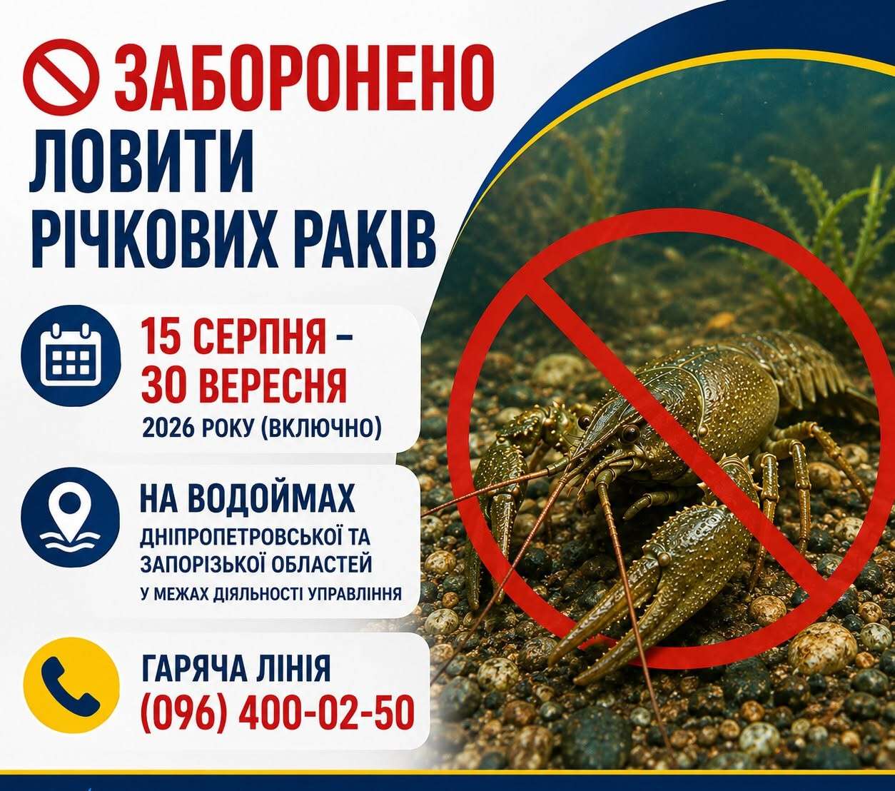 раки