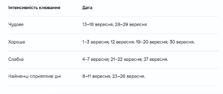 инте