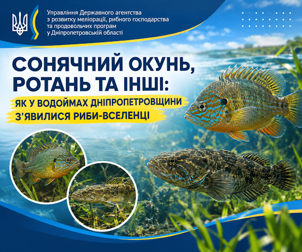 вчко