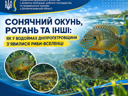 вчко