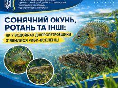вчко