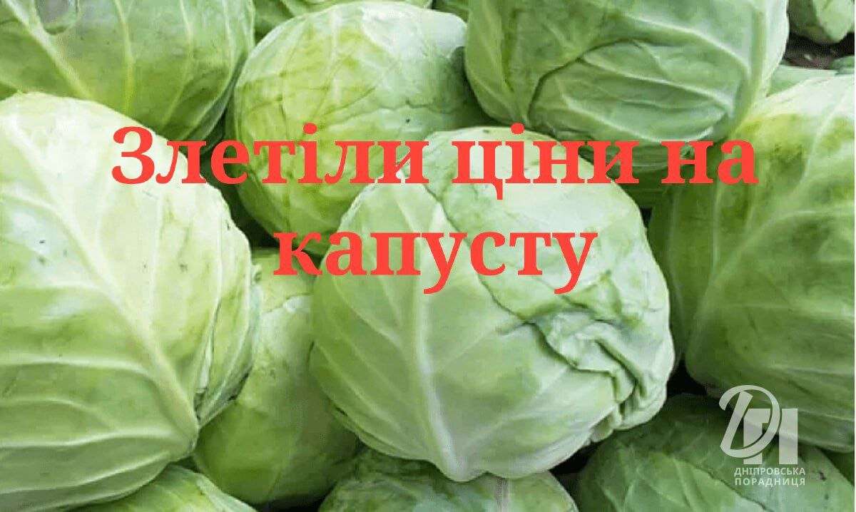 капустка2