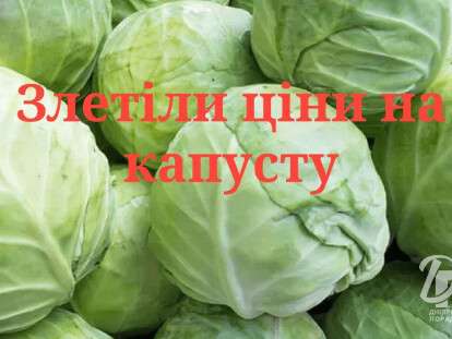 капустка2