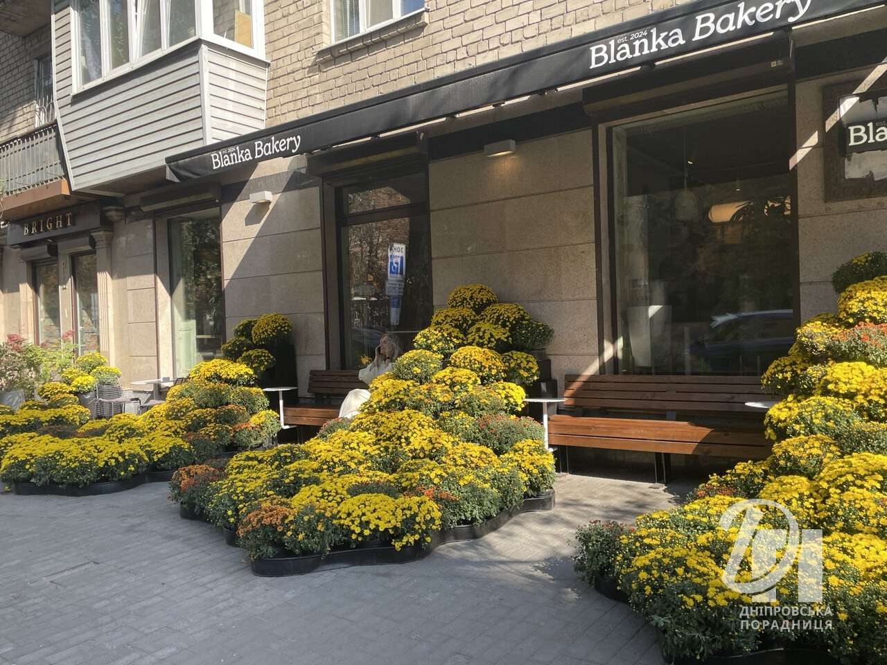 Осінній калейдоскоп барв: у Дніпрі з’явилися яскраві фотозони з хризантемами