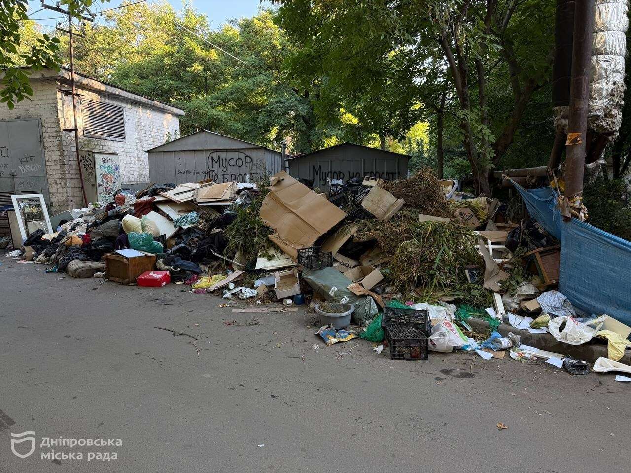 У Дніпрі пояснили, чому гілки та стовбури дерев не можна залишати біля контейнерів