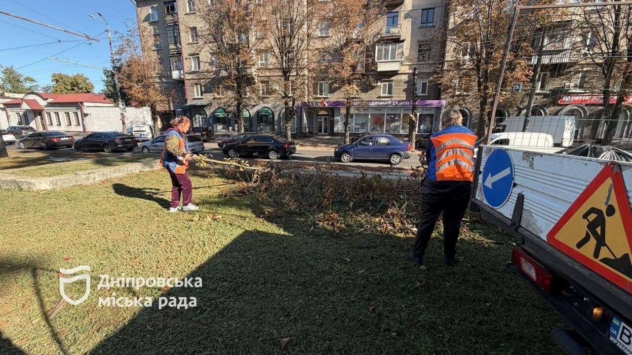 дере1