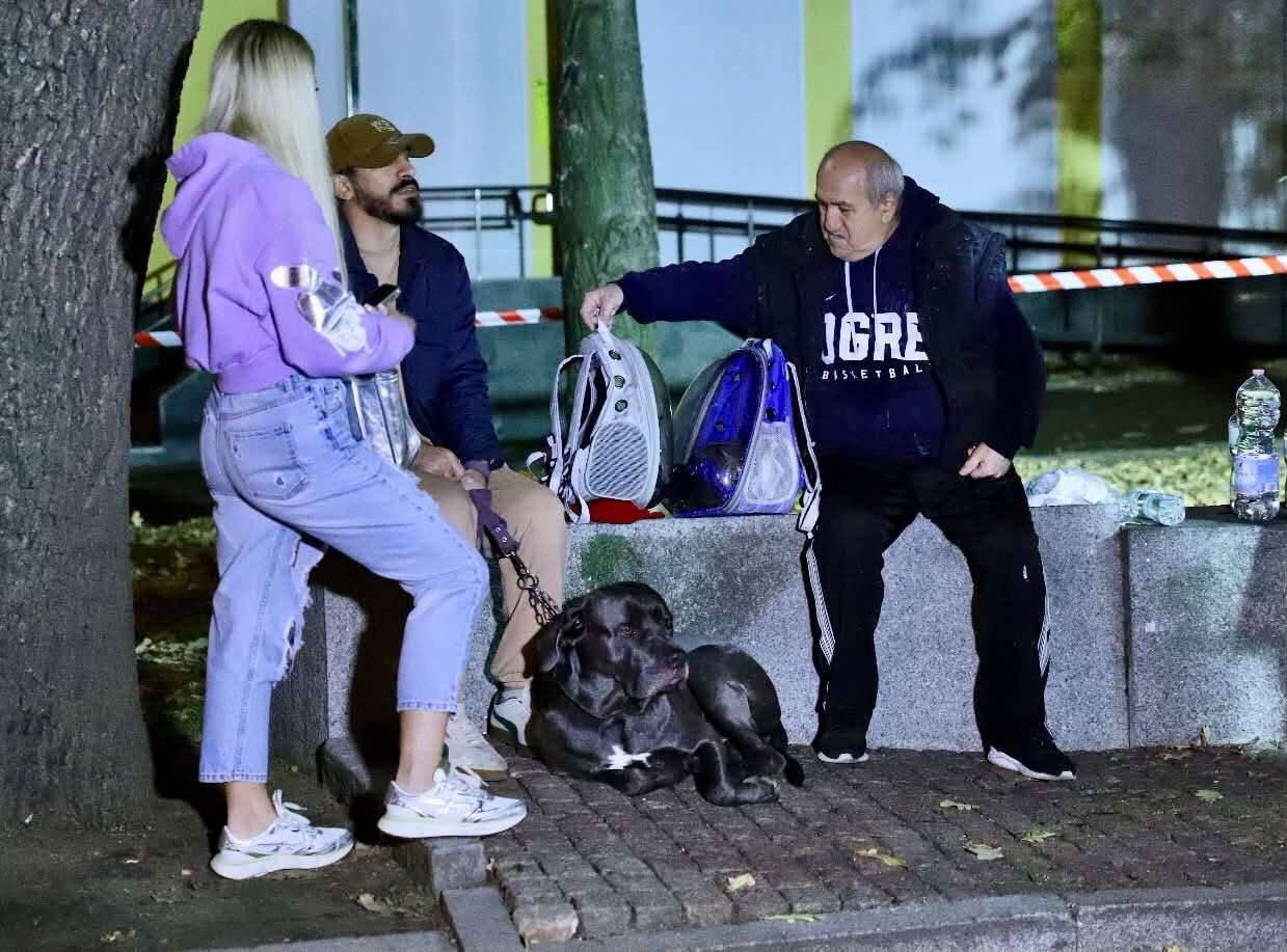 нт3