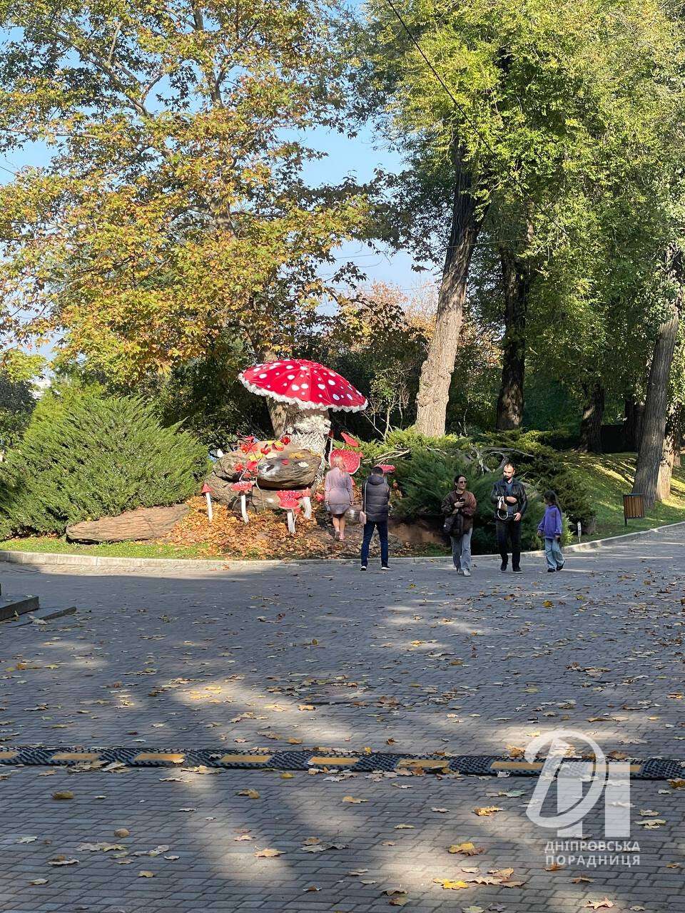 Казкова фотолокація: у парку Шевченка у Дніпрі з’явилися велетенські мухомори